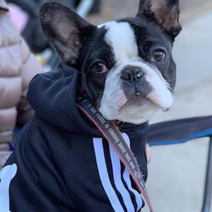 Meet your Posher, Nick